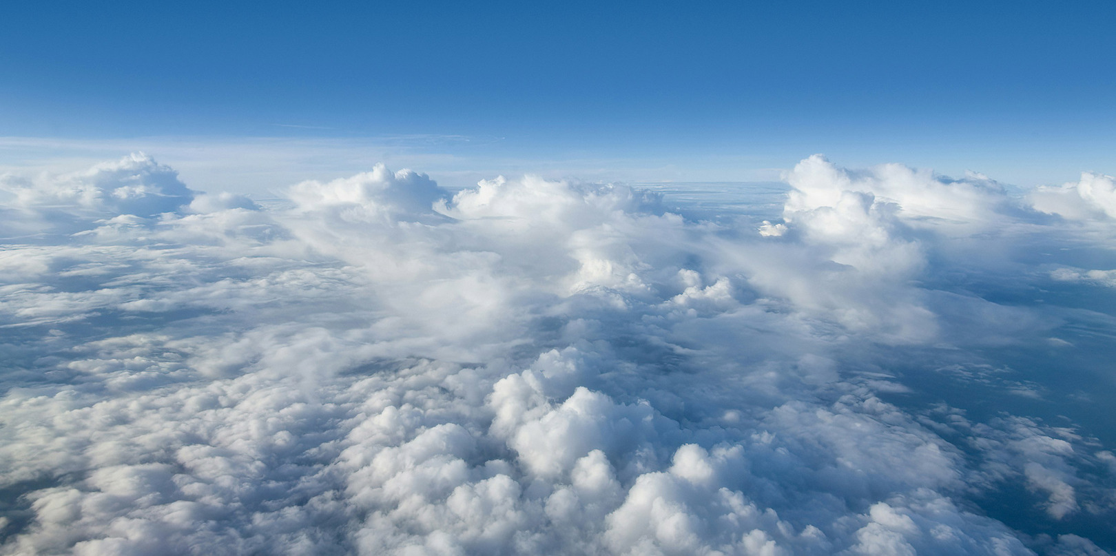 Lived wisdom and true education for understanding life and evolution. 