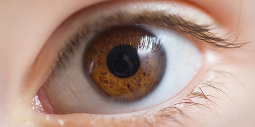 Why do we work with the eyes in Esoteric Yoga? - thumbnail version