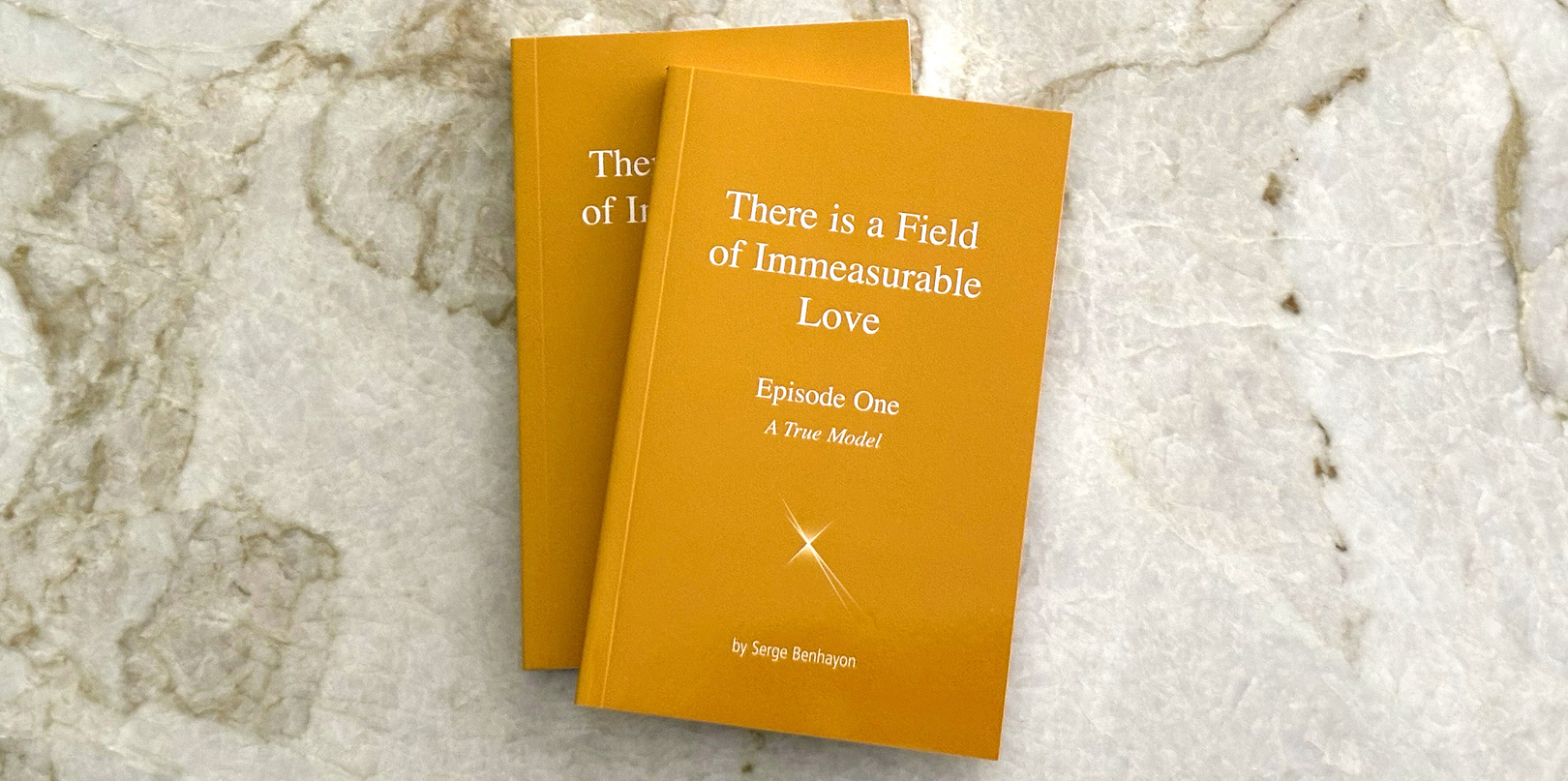 Could we be living in a field of immeasurable love?