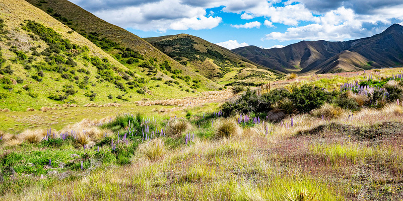 Who were the ancient peoples of New Zealand and what is their significance for us all today? - thumbnail version